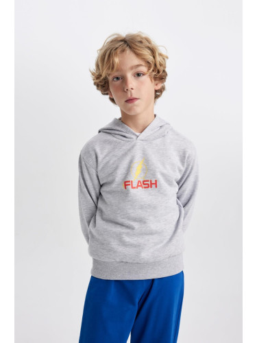 DEFACTO Boy's The Flash Thick Hooded Sweatshirt