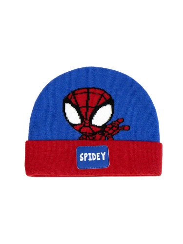 HAT DOT APPLICATIONS SPIDEY