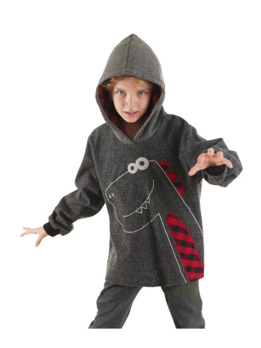 Denokids Dino Boy Hooded Sweatshirt