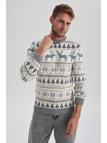 DEFACTO New Year Themed Standard Fit Patterned Crew Neck Sweater