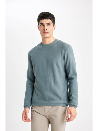 DEFACTO Standard Fit Crew Neck Sweater