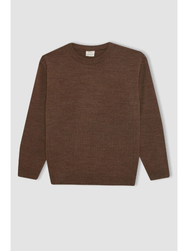 DEFACTO Boy Brown Crew Neck Basic Plain Knitwear Sweater