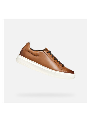 Brown men's sneakers Geox Deiven - Men's