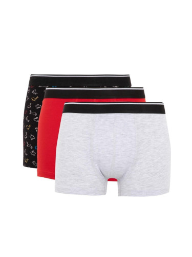 DEFACTO Regular Fit 3-Pack Boxer