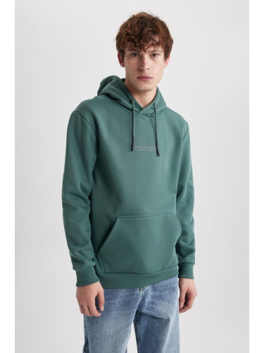 DEFACTO Regular Fit Hooded Printed Sweatshirt