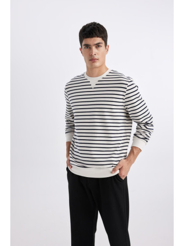 DEFACTO Modern Fit Crew Neck Striped Sweatshirt