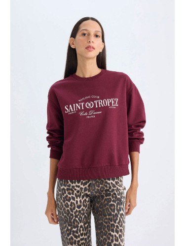 DEFACTO Regular Fit Crew Neck Printed Thin Sweatshirt