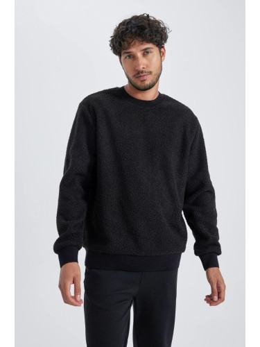 DEFACTO Regular Fit Crew Neck Plush Sweatshirt