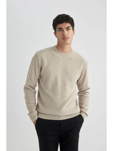 DEFACTO Standard Fit Crew Neck Sweater