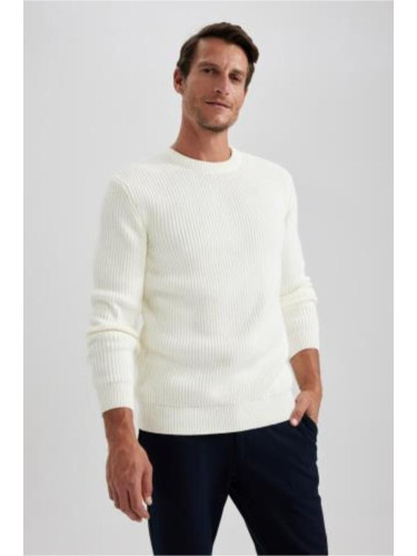 DEFACTO Standard Fit Crew Neck Knitted Sweater