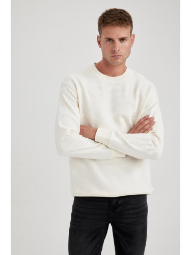 DEFACTO Comfort Regular Fit Basic Sweatshirt