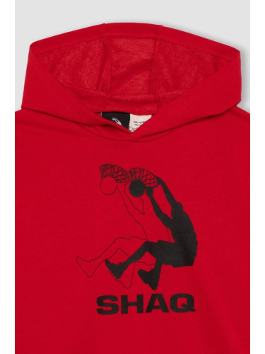 DEFACTO Boy Shaquille O'neal Hooded Sweatshirt