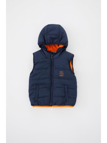 DEFACTO Baby Boy Hooded Puffer Vest