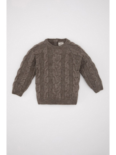 DEFACTO Baby Boy Mink Crew Neck Knitwear Sweater