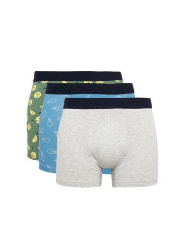 DEFACTO Regular Fit 3-pack Boxer