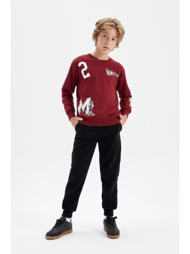 DEFACTO Boy Printed Sweatshirt Tracksuit Bottom 2-Piece Set