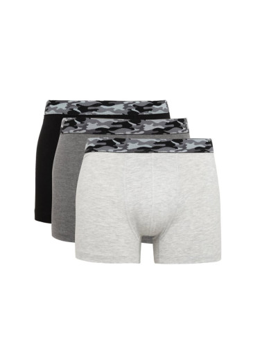 DEFACTO Regular Fit 3-pack Boxer