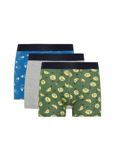 DEFACTO Regular Fit 3-pack Boxer