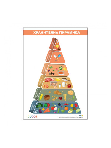Office 1 Ученическо табло ''Хранителна пирамида'', 70 x 100 cm
