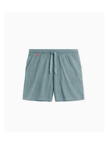 Men's shorts ATLANTIC - emerald