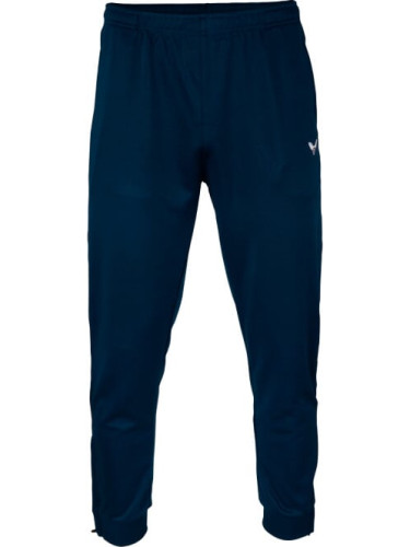 Tréninkové kalhoty Victor Pants Team Blue 3938, XXL