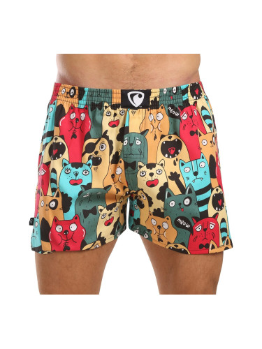 Men's boxer shorts Represent exclusive Ali Cat Fans