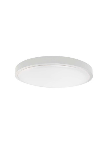 LED Плафон за баня LED/36W/230V 6500K IP44 бял