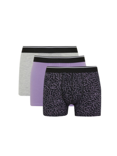 DEFACTO Regular Fit 3-pack Boxer