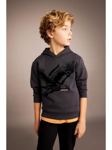 DEFACTO Boy's Printed Hooded Thick Sweatshirt