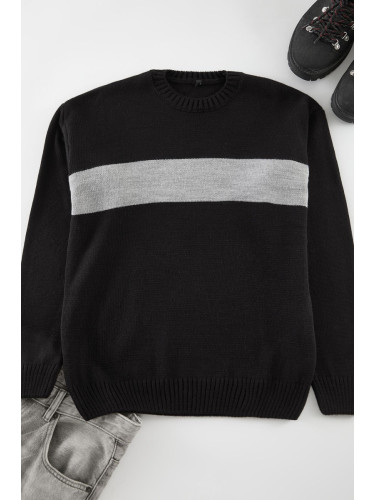 Trendyol Black Regular Crew Neck Color Block Knitwear Sweater