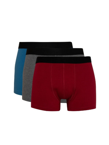 DEFACTO Regular Fit 3-pack Boxer