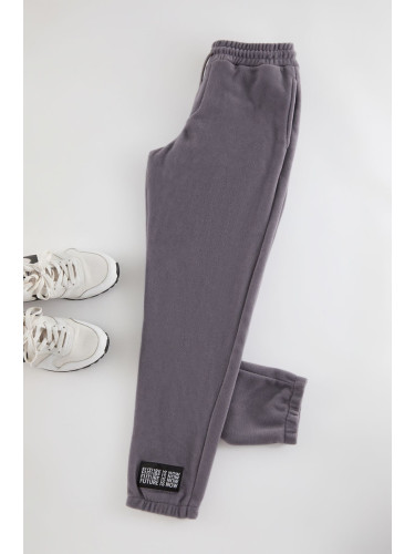 Trendyol Grey Regular/Normal Cut Elastic Leg Fleece Warm Sweatpants