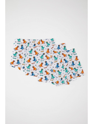 DEFACTO Boy's Dinosaur Printed 3-Piece Boxer