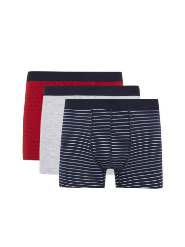 DEFACTO Regular Fit 3-Piece Boxer