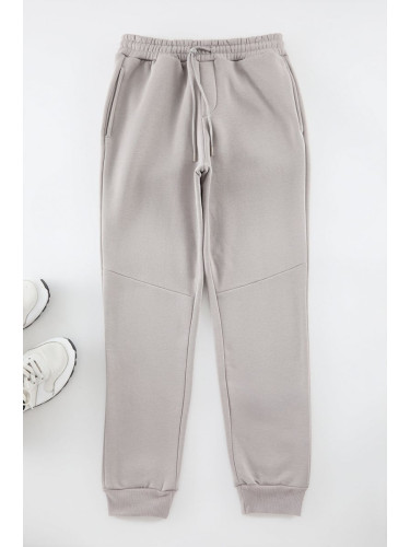 Trendyol Grey Regular Cut Stitch Detail Thick Sweatpants