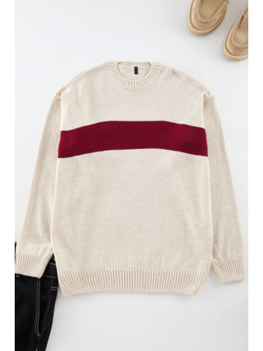 Trendyol Beige Regular Crew Neck Color Block Knitwear Sweater