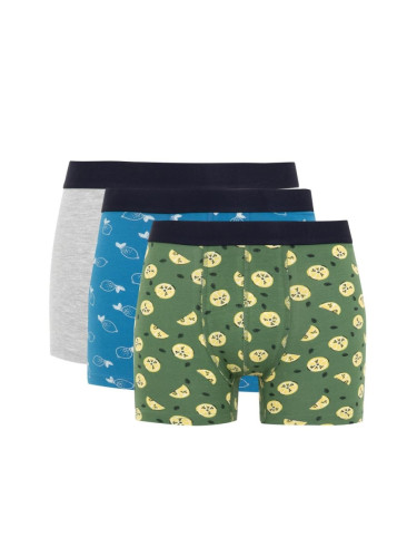 DEFACTO Regular Fit 3-pack Boxer