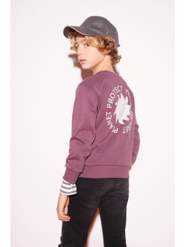 DEFACTO Boy's Crew Neck Back Printed Sweatshirt