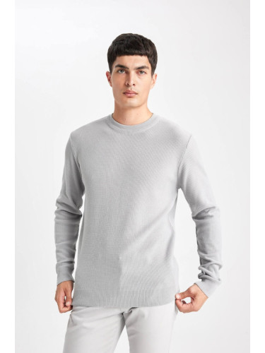 DEFACTO Standard Fit Crew Neck Sweater