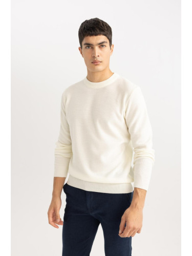 DEFACTO Standard Fit Crew Neck Sweater