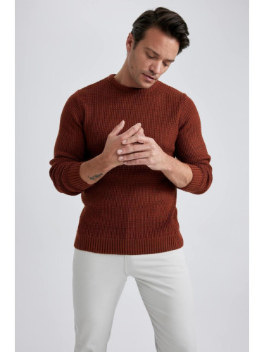 DEFACTO Standard Fit Crew Neck Knitted Sweater