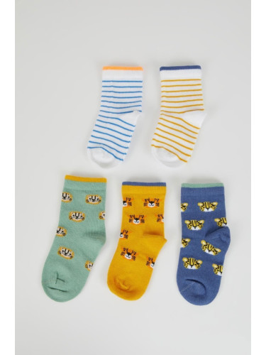 DEFACTO Baby Boy 5-Piece Cotton Long Socks