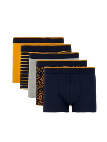 DEFACTO Flexible Fabric Standard Pattern 5 Pack Boxer U7320AZNS