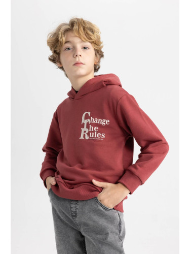 DEFACTO Boy's Hooded Printed Sweatshirt