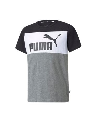 PUMA Essentials+ Colorblock Tee Grey/White