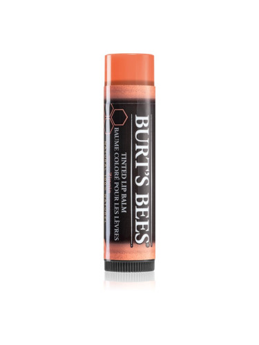 Burt’s Bees Tinted Lip Balm балсам за устни цвят Zinnia 4.25 гр.