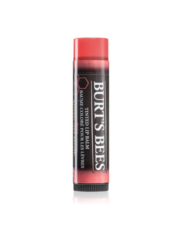 Burt’s Bees Tinted Lip Balm балсам за устни цвят Rose 4.25 гр.