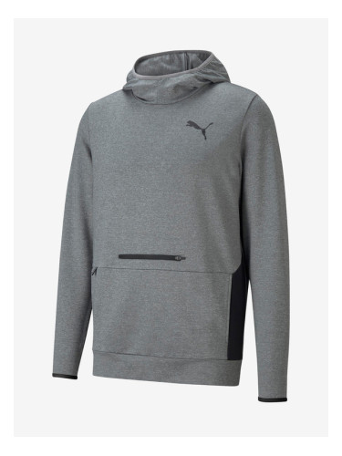 Puma RTG Hoodie Sweatshirt Siv