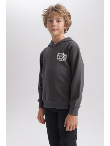 DEFACTO Boy's Hooded Printed Sweatshirt