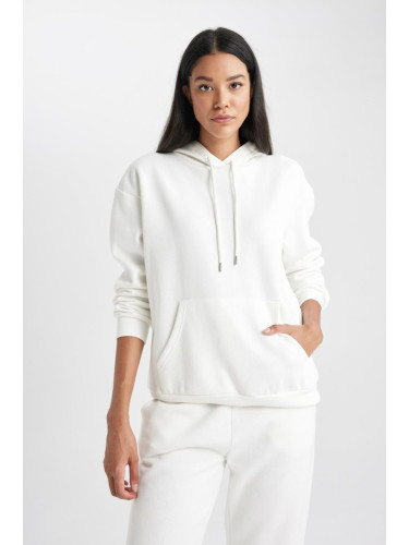 DEFACTO Relax Fit Hooded Thick Basic Sweatshirt